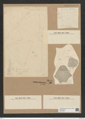 Triceratium arcticum Brightw. (de-Toni-Nr.: Genus 140, Species 3719) Zeichnungen Sammlung Grunow Nr. 7211 (NHMW-BOT-W0376200)